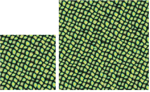 Source texture beside a larger texture synthesized with image quilting